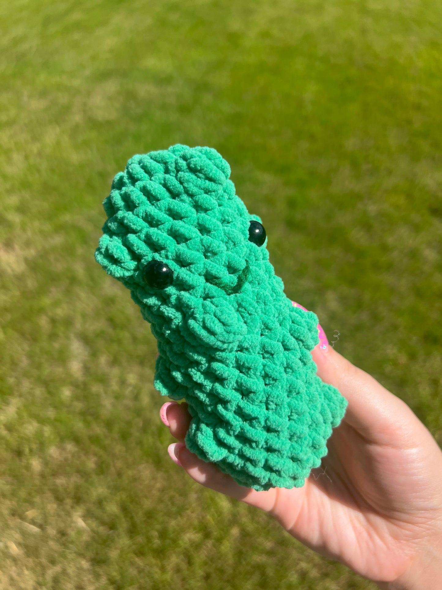 Crochet Pickle